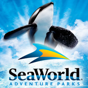 Disney World